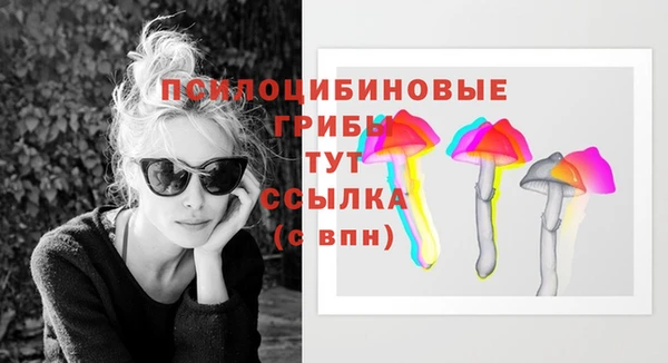 прущие грибы Нефтекумск
