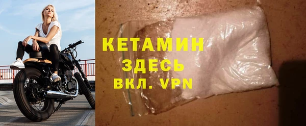 прущие грибы Нефтекумск