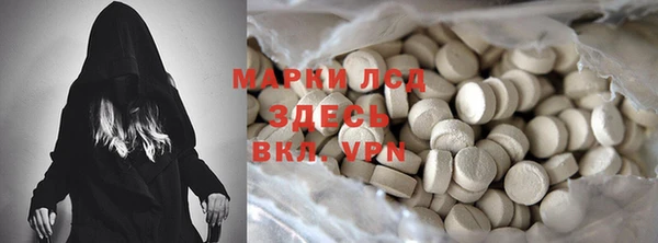 ПСИЛОЦИБИНОВЫЕ ГРИБЫ Новозыбков