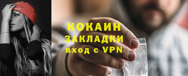прущие грибы Нефтекумск