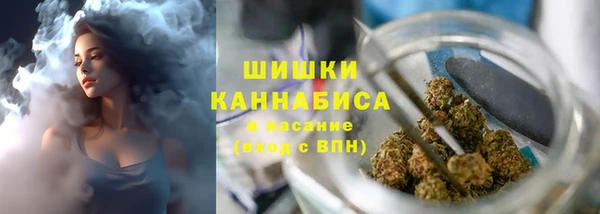Альфа ПВП Нея