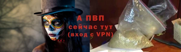 прущие грибы Нефтекумск