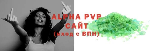 ПСИЛОЦИБИНОВЫЕ ГРИБЫ Новозыбков