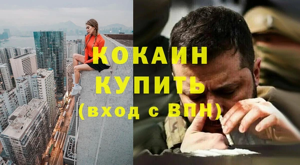 ПСИЛОЦИБИНОВЫЕ ГРИБЫ Новозыбков
