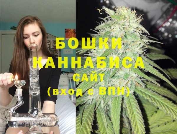 Альфа ПВП Нея