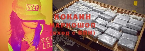ПСИЛОЦИБИНОВЫЕ ГРИБЫ Новозыбков