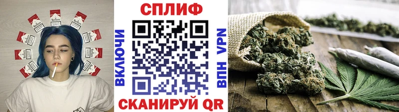 наркота  Пугачёв  Каннабис Ganja 